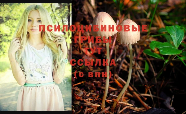 МДМА Новокубанск