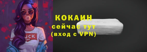 гидра Кинешма