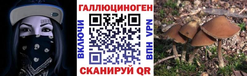 Псилоцибиновые грибы прущие грибы  Приволжский 